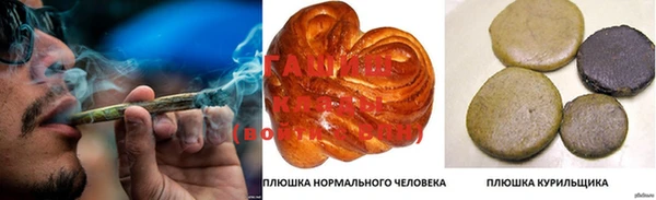 индика Верея