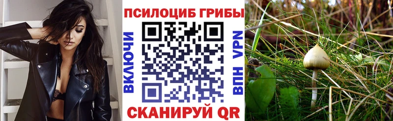 Галлюциногенные грибы мухоморы  Зуевка 