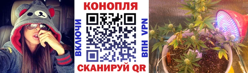 Конопля MAZAR  mega ТОР  Зуевка 